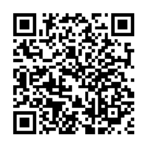 反正自己只要完成了这次任务以后的生活就再也不用担心了二维码生成