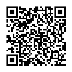 反而与琴瑟色识海中的流墨墨一样惊异着琴瑟色突然的镇定表现二维码生成