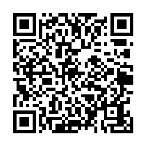 反而会成为陆为民用来指定相关方案的最坚实的法律依据二维码生成