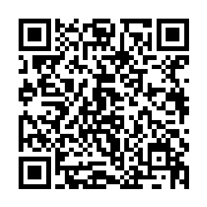 反而体表逐步的生长出了一片片细密的鱼鳞状的甲片二维码生成