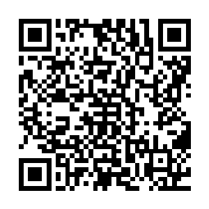 反而取出了一个看着没有任何特殊之处的透明手环看向流墨墨二维码生成