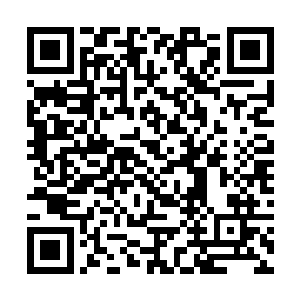 反而是你的后代――那些曾经令你头疼万分的熊孩子二维码生成