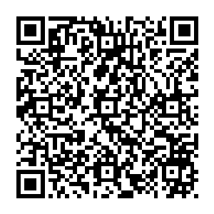 反而是周晓莉挺着还没什么弧度的肚皮三言两语就把人家这片的房价租金给套出来二维码生成