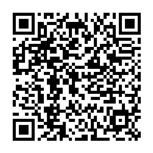 反而是戴芮和莎莉都很期待这次融合――罗杰带着莎莉在游乐园里玩耍二维码生成