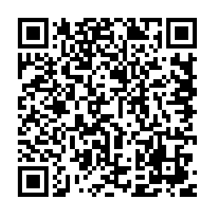 反而楚枫的星辰斩绝和从须弥仙法当中演变出来的掌中佛国和袖里乾坤二维码生成