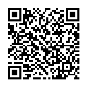 反而震惊地看着被自己的剑气实实在在击中的杨辰二维码生成