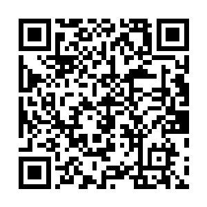 反过来愈发坚定自己所用的解碑方法才是绝对正确的方法二维码生成