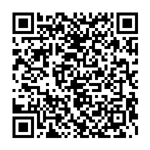 发狂了也不能把实力强横的人类强者怎么样的……这也是为什么那些大宗门二维码生成