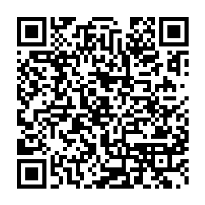发现两只老母鸡各自带着一小拨子毛绒绒的小东西在禽舍里转着呢二维码生成