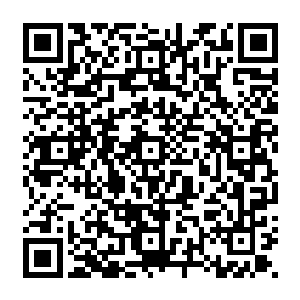 发现了有砍砸痕迹的芭蕉树干……很可能是他们的筏子在进入这片区域以后被礁石撞散了二维码生成