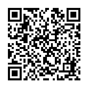 发现他们其实应该已经已经看到他头顶上的新人的标记二维码生成