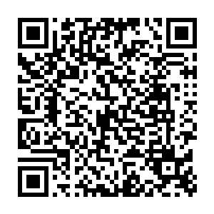 发现他们给我刚才的一顿杀戮吓坏了竟要不是刑律殿的部首吭声救援二维码生成