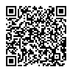 发现伏青和鹰无敌以及一批妖王也几乎是和苗毅同步的时间没露过面二维码生成