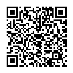 发现只要万象门和墨宫目前托付的天材地宝顺利交易完毕二维码生成