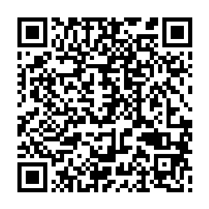 发现没有任何一种变异意境的威力能够比得上楚暮所施展而出的变异意境二维码生成