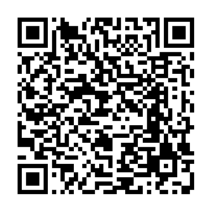 发现熙熙攘攘的没人注意到他们就让阿怒放下包去街对面的铺子买两张手机卡二维码生成