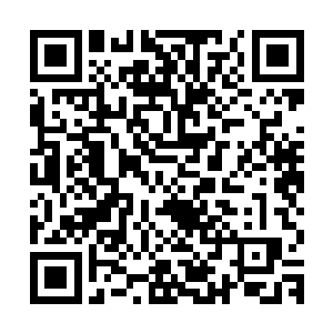 发现玉简之中确实是麻烦大师方才所讲解的人形机傀的炼制方法二维码生成