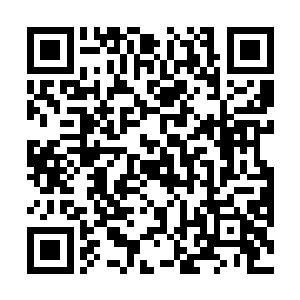 发现羽果是真没看出来流墨墨和敖火庆并不是生死战斗二维码生成