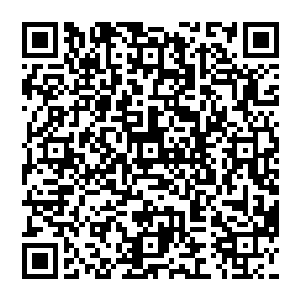 发现这段时间自己的功德值的主要来源还是自己安排人在潜龙岛上继续放生沙鳞所获得的功德值二维码生成