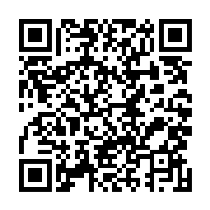 发现透明容器和脉络化成的血液已经完全融入了身体组织二维码生成