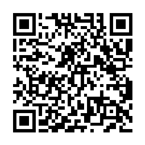 发现那头体型和外貌与猎豹相似的异兽也被枝条给缠绕住了二维码生成