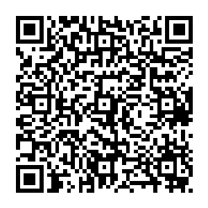 发生了什么事……我……怎么听到好多的爆炸声c不会是……不会是有轰炸机来了吧二维码生成