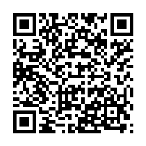 发生的那次小小碰撞事故――她急着对犯人展开审问二维码生成