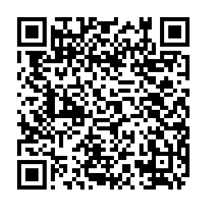 发间插着几只蓝银珠花点缀和一支卷须翅三尾点翠衔单滴流苏凤钗的沈婉瑜二维码生成