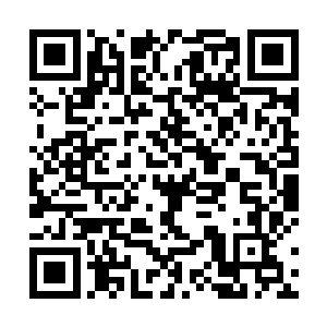 取出一块用红色丝绦系着的暖玉放在叶璃手里淡淡笑道二维码生成
