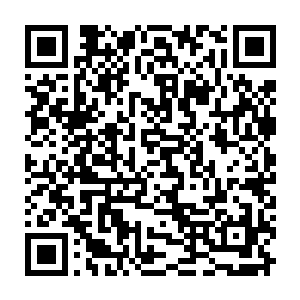取出了那原本应该是在易红仙人心口位置的一枚手指粗细的一截青翠玉石二维码生成