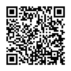 取而代之的是一片连绵起伏的山脉和支离破碎的海岸线二维码生成