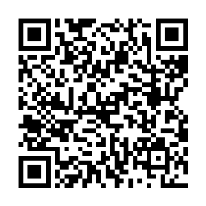 取而代之的是流墨墨的小手上多出了一层虚幻的淡灰色光晕二维码生成