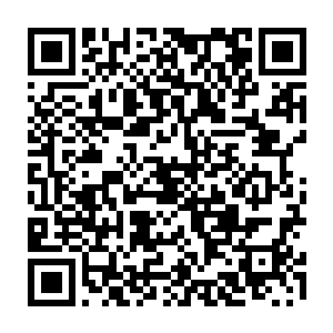 取而代之的是畏惧和害怕……他本以为在自己的地盘上就可以狂暴的击退秦方二维码生成