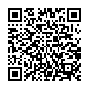 取而代之被它抗在肩膀的是一台比它本人还要巨大的巨型炮台二维码生成