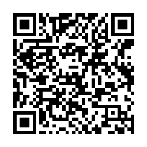 受万众瞩目的科技界大佬会晤此时也进行到了关键时刻二维码生成