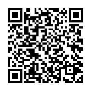 受了一次惊吓的高扬再也不敢让海法连续的做动作了二维码生成