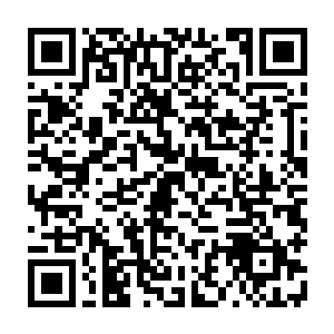 受了圣皇强者一击而本以为身死的羊羽天竟然完好无损的出现在众人面前二维码生成