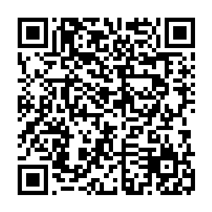 受到了崔浩和他妻子刘继芬的热烈欢迎――主人家就等在别墅院子的大门口二维码生成