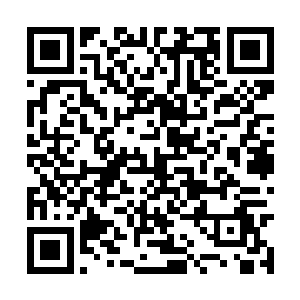 变化成人型模样走进了修真界修真者的活动范围内二维码生成