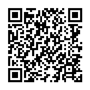 变异蛮荒巨兽的实力往往比同等级的普通蛮荒巨兽更加强大二维码生成