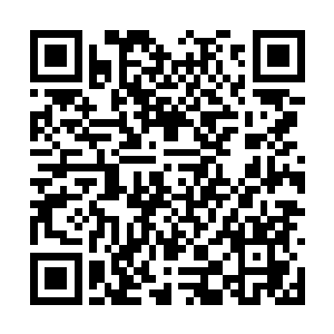 变形之后的荒天棍朝着防御堡垒狠狠的发动了攻击二维码生成