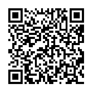 变形碎裂的骨骼在灵气加持下硬是卡住白剑减慢了它的速度二维码生成