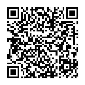 变成了如今的血腥女王了……几乎是踏着无数人的尸骨登上那个位置的二维码生成