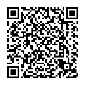 古神境界高手的数量几乎已经成为了衡量一个势力强弱的一个标准了二维码生成
