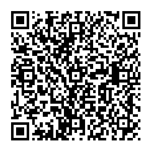 另一个则拿着一根钢针顶在对方的心脏上--这些武器都是刚才幻形尸兄与暗日战将一族大战时遗落下的二维码生成