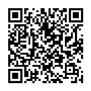 另一个在师门引起轰动的是郝师兄所在小队的几乎全军覆没二维码生成