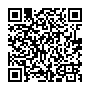 另一个御医笑着指穿着雪白细麻衣独坐在一旁看书的王御医说二维码生成