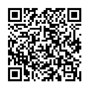 另一个潜伏在仙界的圣人肯定已经收到同伴战死的消息二维码生成