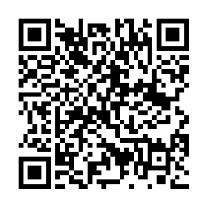 另一名年龄小一点的警察则从包里取出罚款单开始填单二维码生成