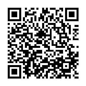 另一名男子显然已经将书房完完整整的搜了一遍却毫无发现二维码生成